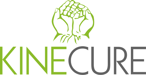 Kinecure
